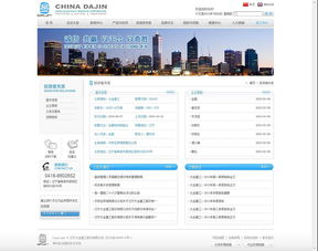 神州互动与大金重工网站建设与设计 专业、高效与创新